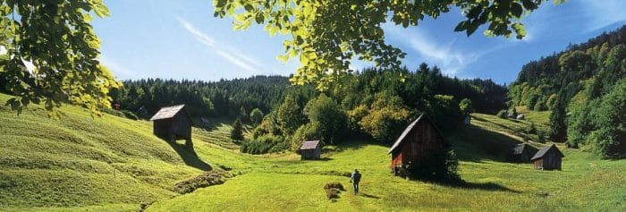 europa deutschland elbsandsteingebirge 930x315 e1653370807495 Clases de alemán online