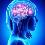2º capitulo del curso.Los beneficios para la salud de aprender aleman 6 https://profesornativodealeman.com/wp-content/uploads/2017/09/Aprender-aleman-salud-e1652776452118.jpg Aprender aleman salud Clases de alemán online
