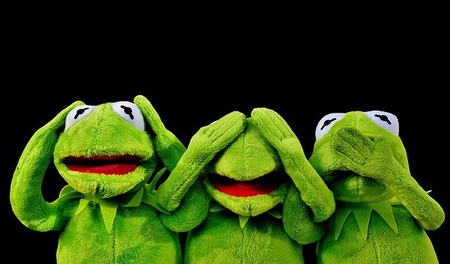 Diferencia entre hören y zuhören, weghören y mithören 4 https://profesornativodealeman.com/wp-content/uploads/2021/02/not-hear-2687975_640.jpg not hear 2687975 640 Clases de alemán online