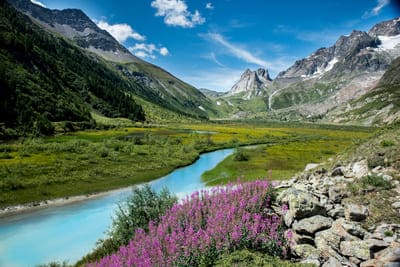 cursos de aleman en suiza